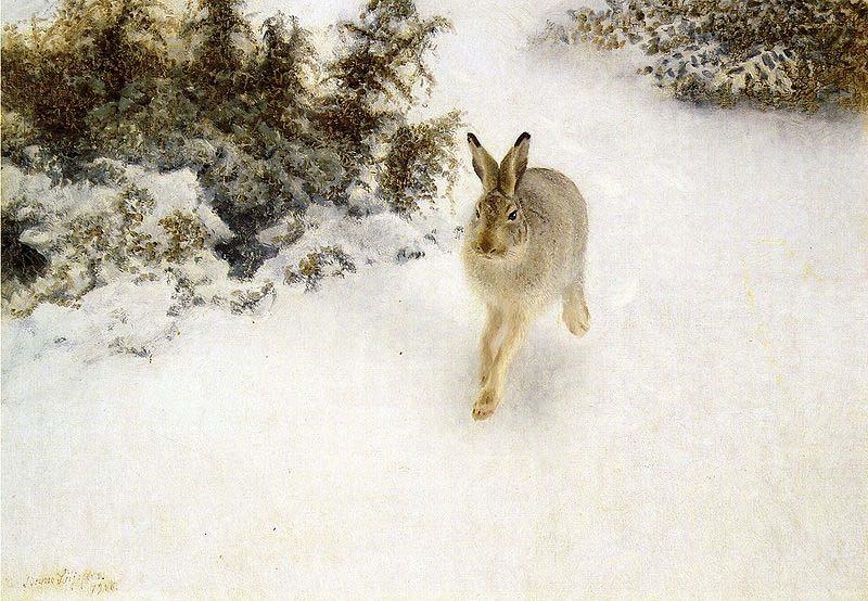 bruno liljefors Winter Hare oil painting image